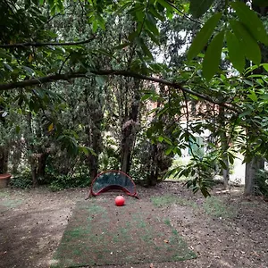 Vatican Quiet With Garden & Parking Apartment Rom